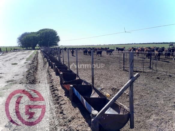 Campo en Venta en Rancul, La Pampa