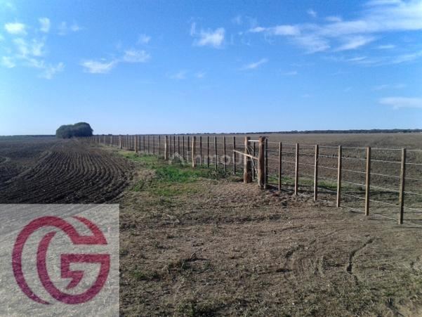 Campo en Venta en Rancul, La Pampa