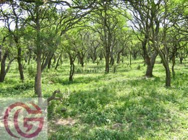 Campo en Venta en Rancul, La Pampa