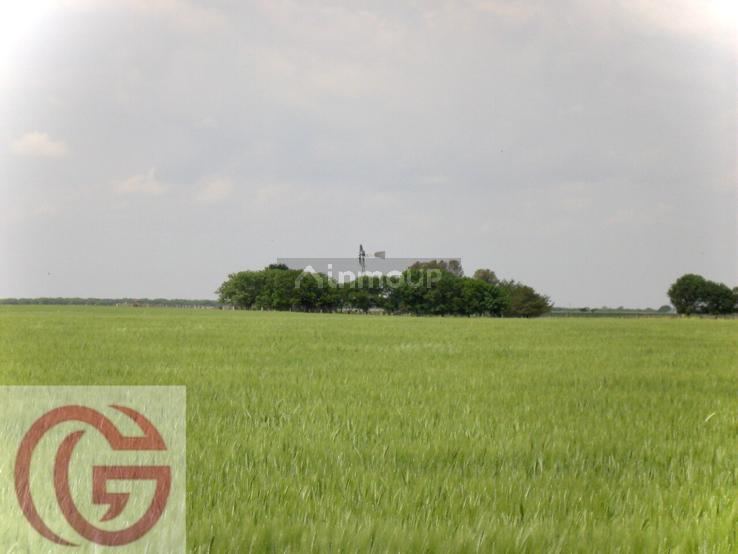 Campo en Venta en Rancul, La Pampa