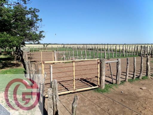 Campo en Venta en Rancul, La Pampa