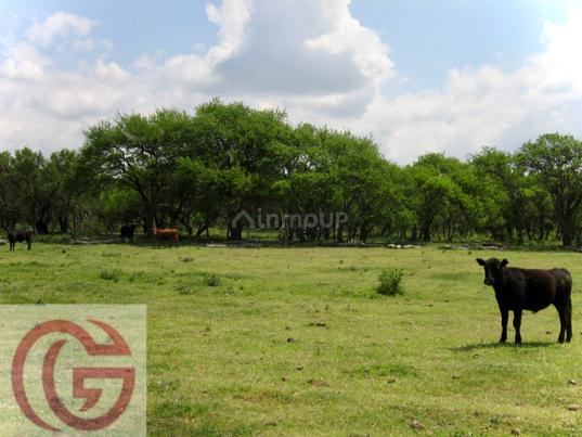 Campo en Venta en Rancul, La Pampa