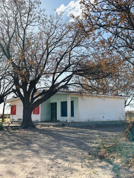 Finca en Venta en Santa Rosa, Mendoza