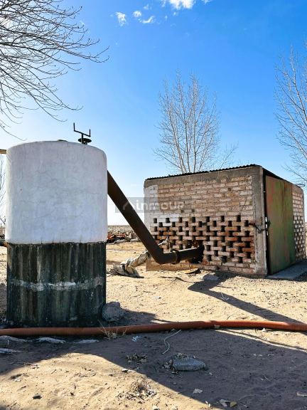 Finca en Venta en Santa Rosa, Mendoza