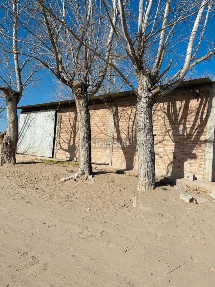 Finca en Venta en Santa Rosa, Mendoza