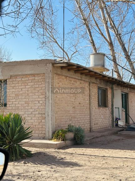Finca en Venta en Santa Rosa, Mendoza