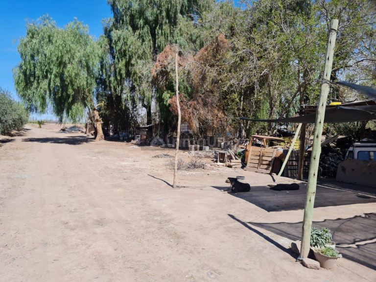 Finca en Venta en Maipu, Mendoza