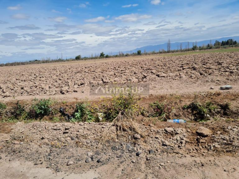 Finca en Venta en Maipu, Mendoza