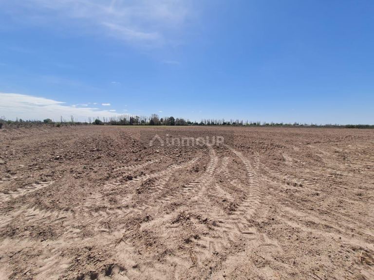 Finca en Venta en Maipu, Mendoza