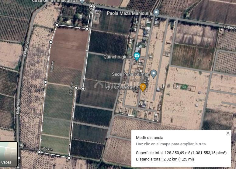 Finca en Venta en Maipu, Mendoza