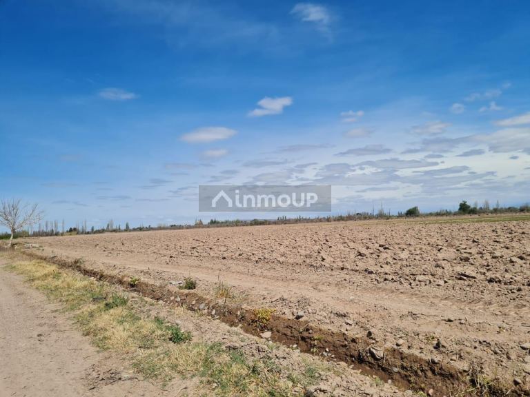 Finca en Venta en Maipu, Mendoza