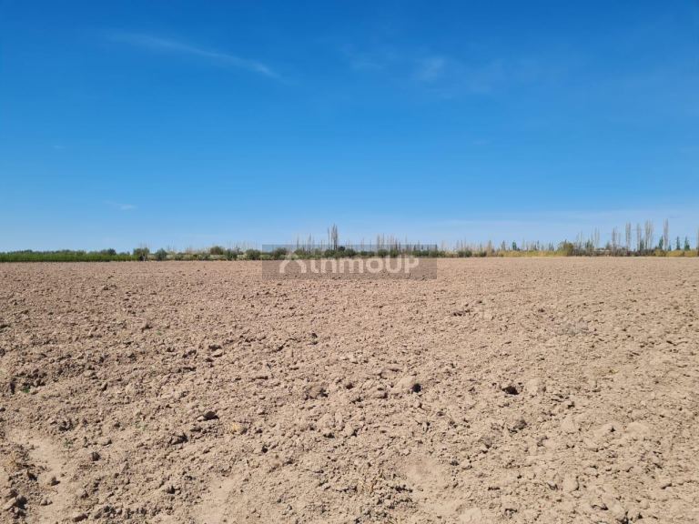 Finca en Venta en Maipu, Mendoza