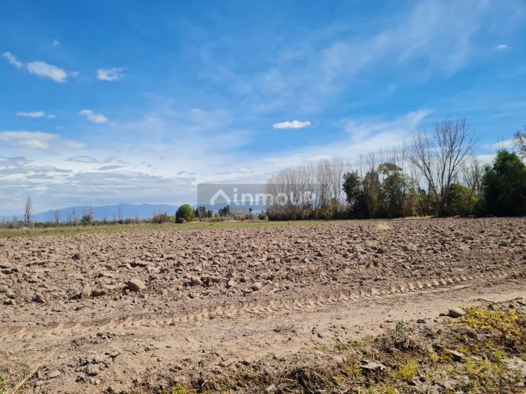 Finca en Venta en Maipu, Mendoza