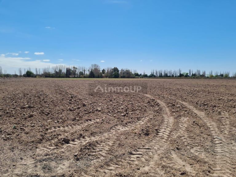 Finca en Venta en Maipu, Mendoza
