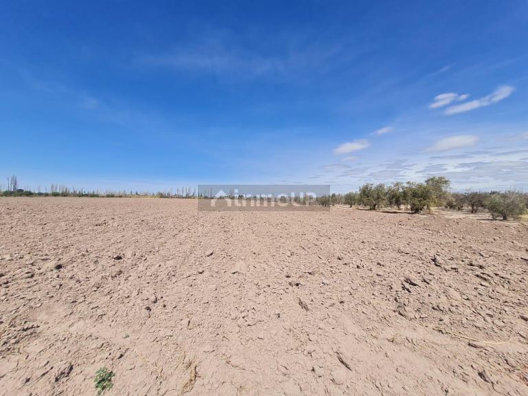 Finca en Venta en Maipu, Mendoza