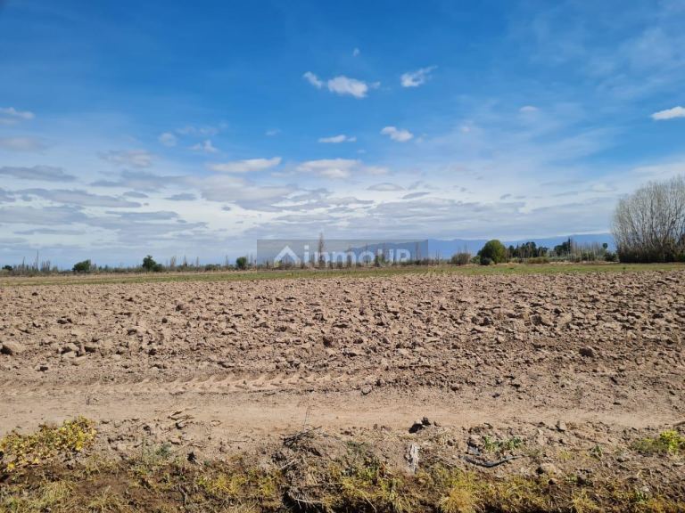 Finca en Venta en Maipu, Mendoza