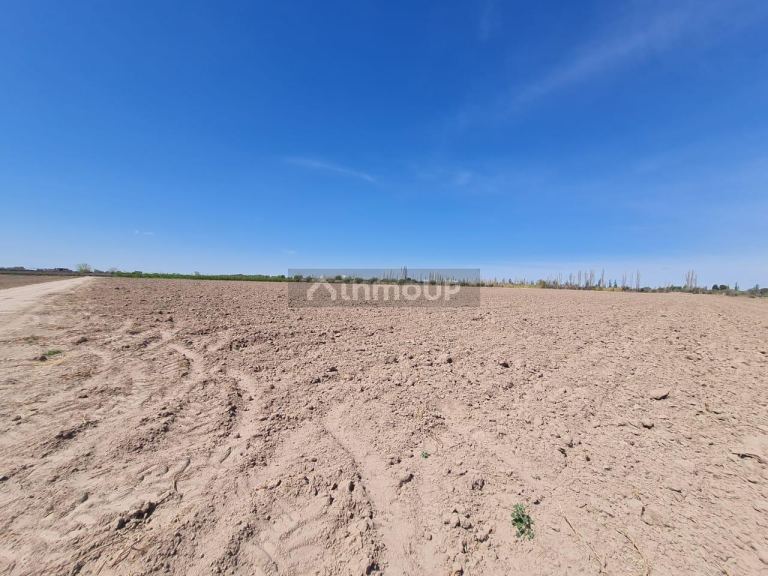 Finca en Venta en Maipu, Mendoza