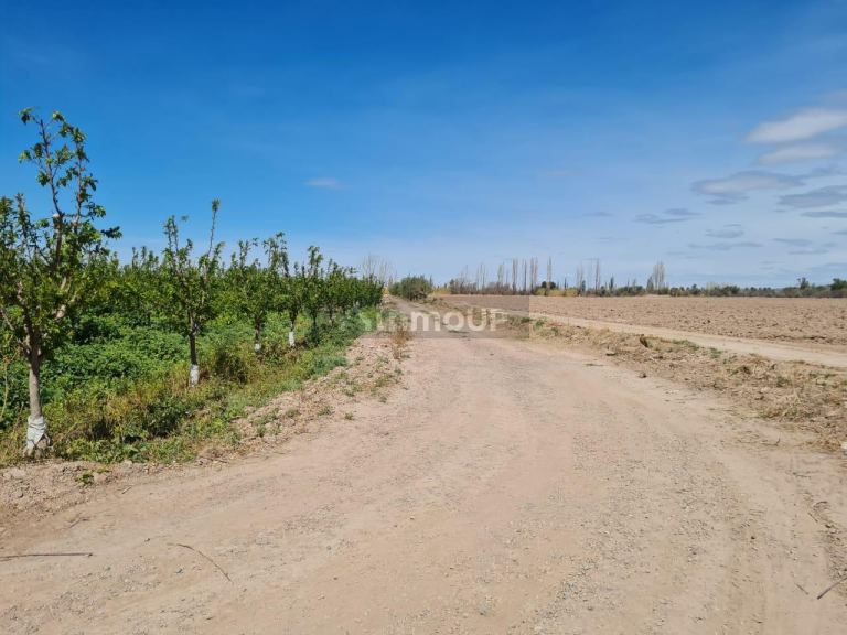 Finca en Venta en Maipu, Mendoza