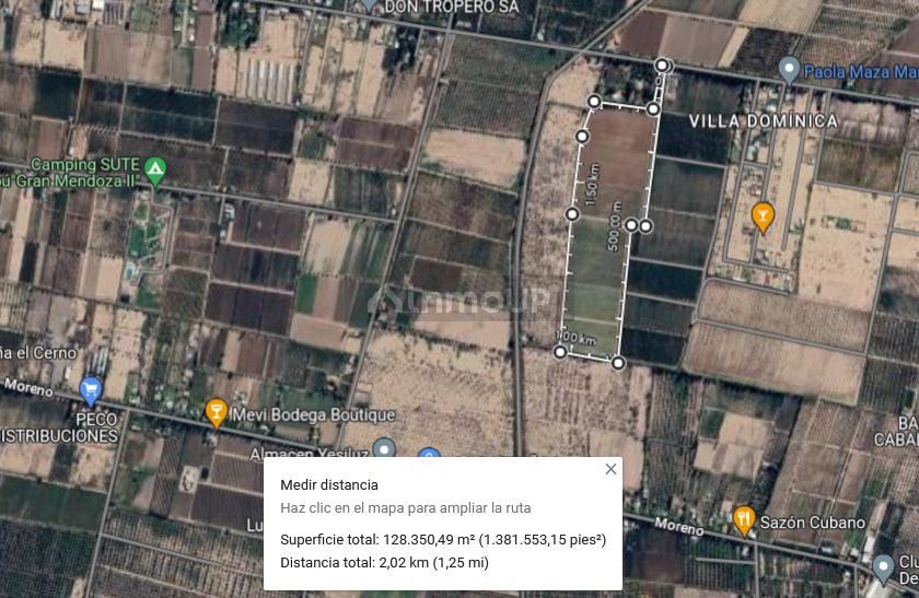 Finca en Venta en Maipu, Mendoza