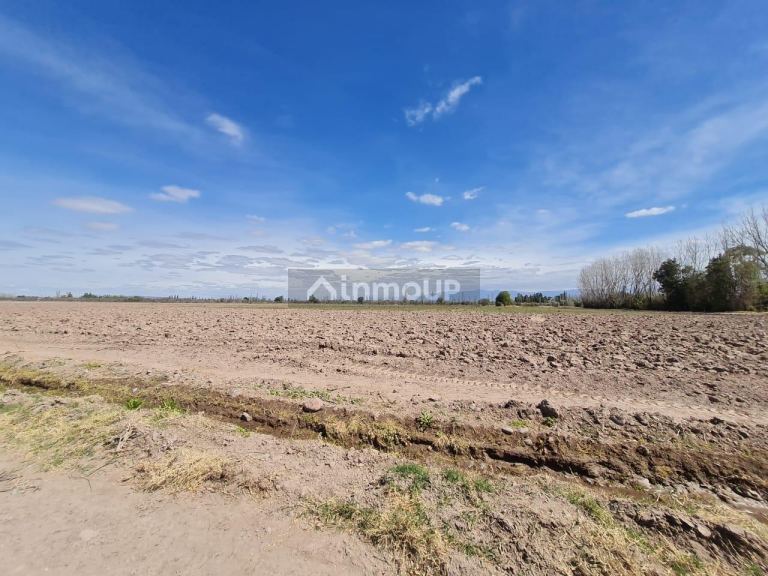Finca en Venta en Maipu, Mendoza