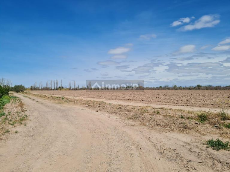 Finca en Venta en Maipu, Mendoza