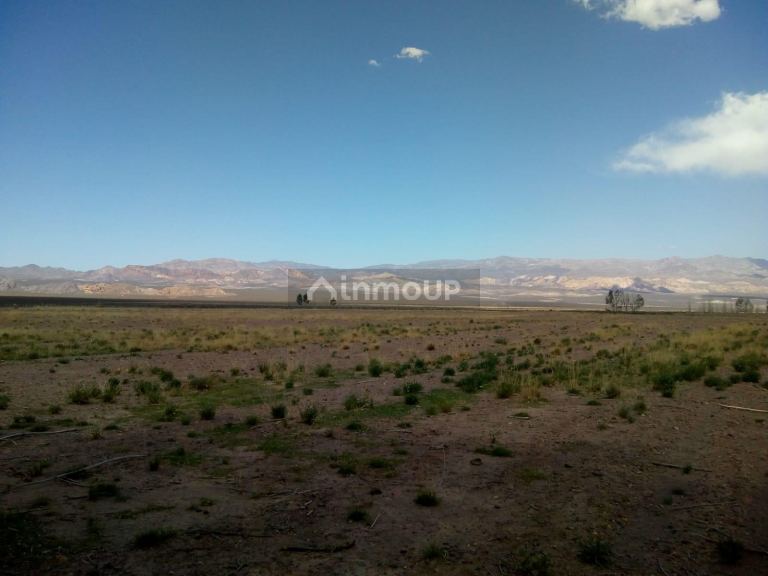 Finca en Venta en Las Heras, Mendoza