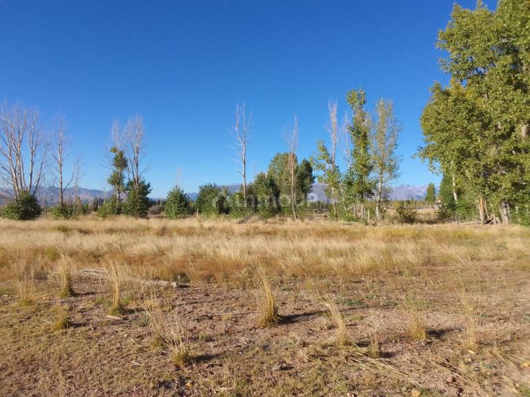 Finca en Venta en Las Heras, Mendoza