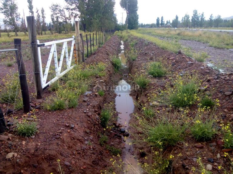 Finca en Venta en Las Heras, Mendoza