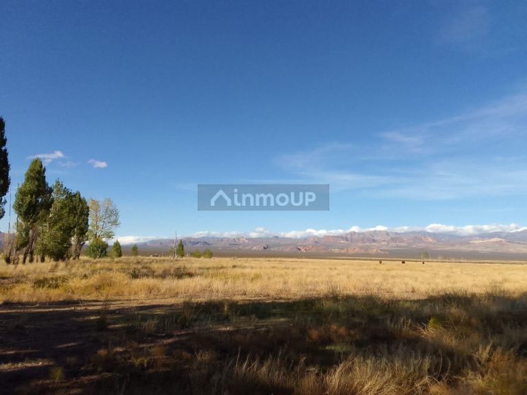 Finca en Venta en Las Heras, Mendoza