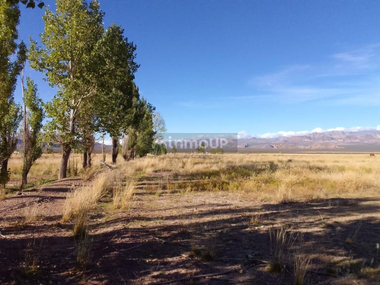 Finca en Venta en Las Heras, Mendoza