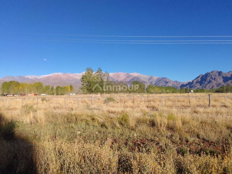Finca en Venta en Las Heras, Mendoza