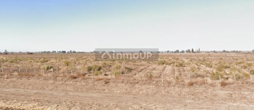 Campo en Venta en Santa Rosa, Mendoza