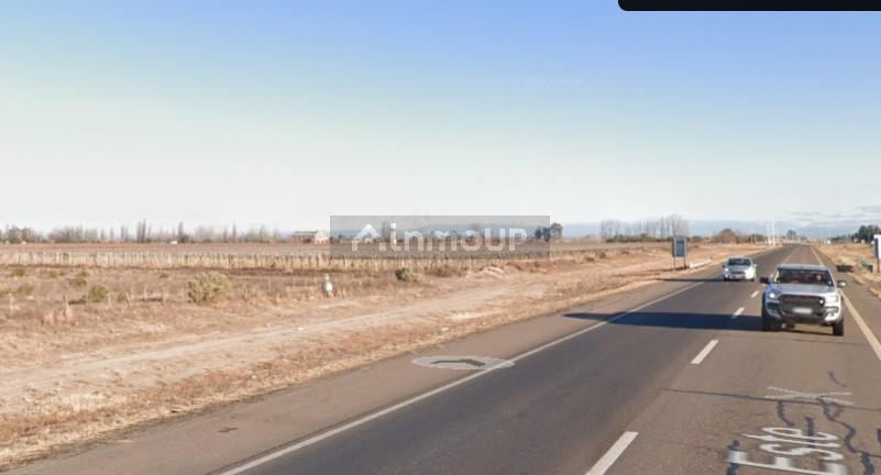 Campo en Venta en Santa Rosa, Mendoza