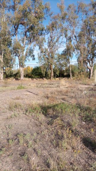 Lote en Venta en Lujan de Cuyo, Mendoza