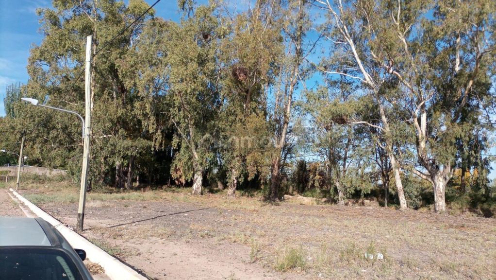 Lote en Venta en Lujan de Cuyo, Mendoza