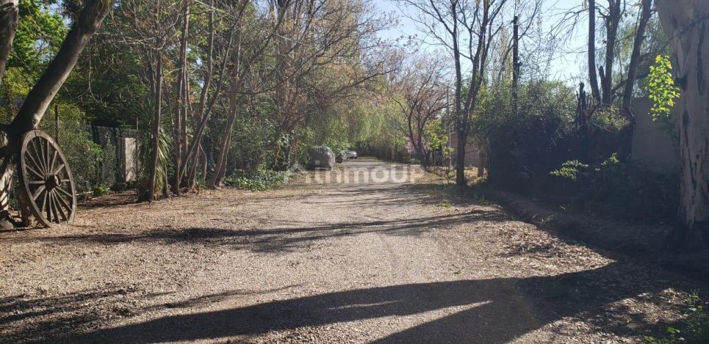 Lote en Venta en Lujan de Cuyo, Mendoza