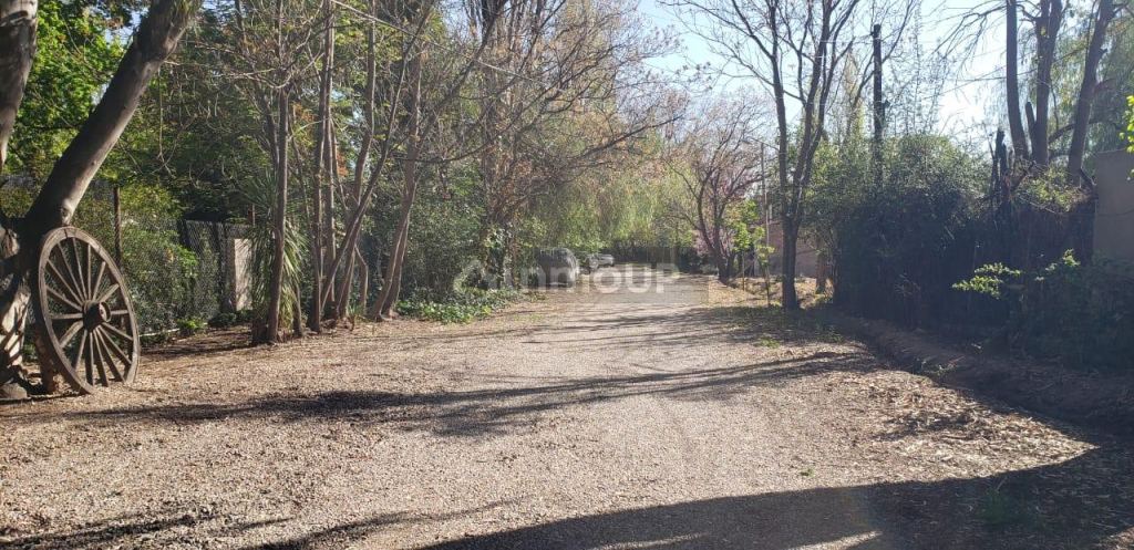 Lote en Venta en Lujan de Cuyo, Mendoza