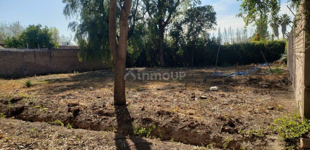 Lote en Venta en Lujan de Cuyo, Mendoza
