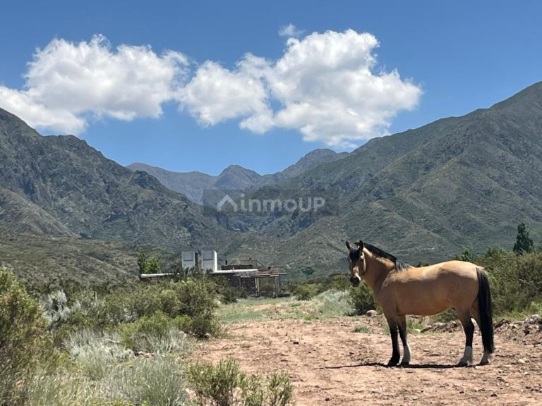 Terreno en Venta en Lujan de Cuyo, Mendoza