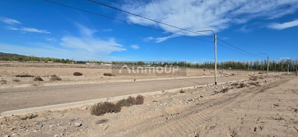 Terreno en Venta en Lujan de Cuyo, Mendoza