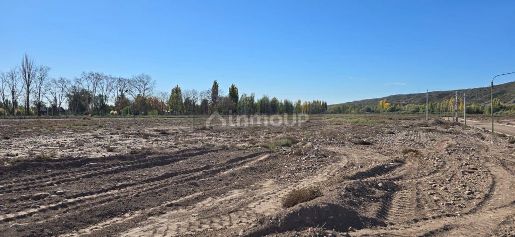 Terreno en Venta en Lujan de Cuyo, Mendoza