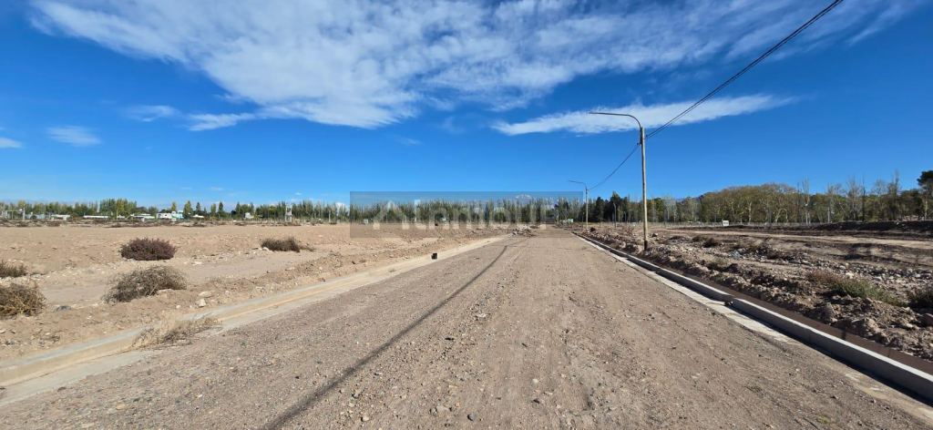 Terreno en Venta en Lujan de Cuyo, Mendoza