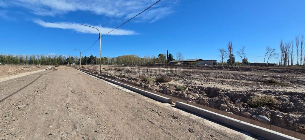 Terreno en Venta en Lujan de Cuyo, Mendoza