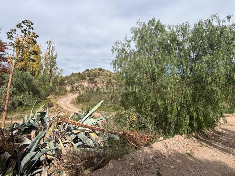 Terreno en Venta en Lujan de Cuyo, Mendoza