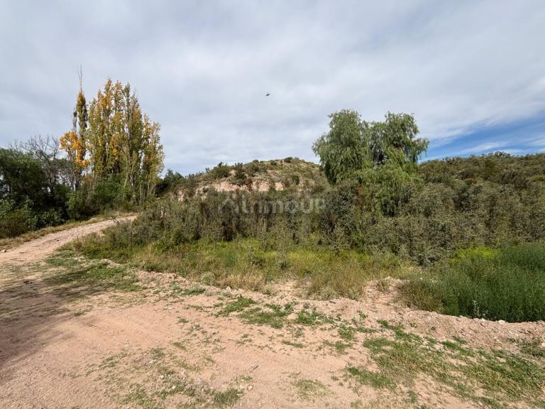 Terreno en Venta en Lujan de Cuyo, Mendoza