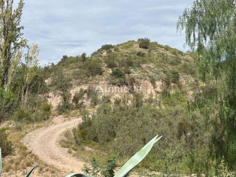 Terreno en Venta en Lujan de Cuyo, Mendoza