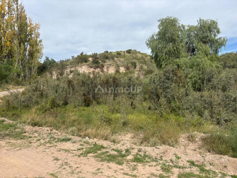 Terreno en Venta en Lujan de Cuyo, Mendoza