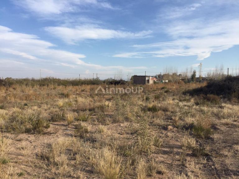 Lote en Venta en Lujan de Cuyo, Mendoza
