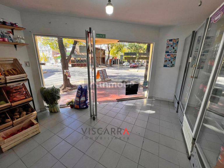 Local Comercial en Alquiler en Capital, Mendoza