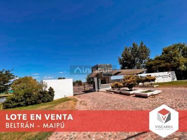 Lote en Venta en Maipu, Mendoza